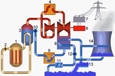 Funktionsschema Druckwasserreaktor